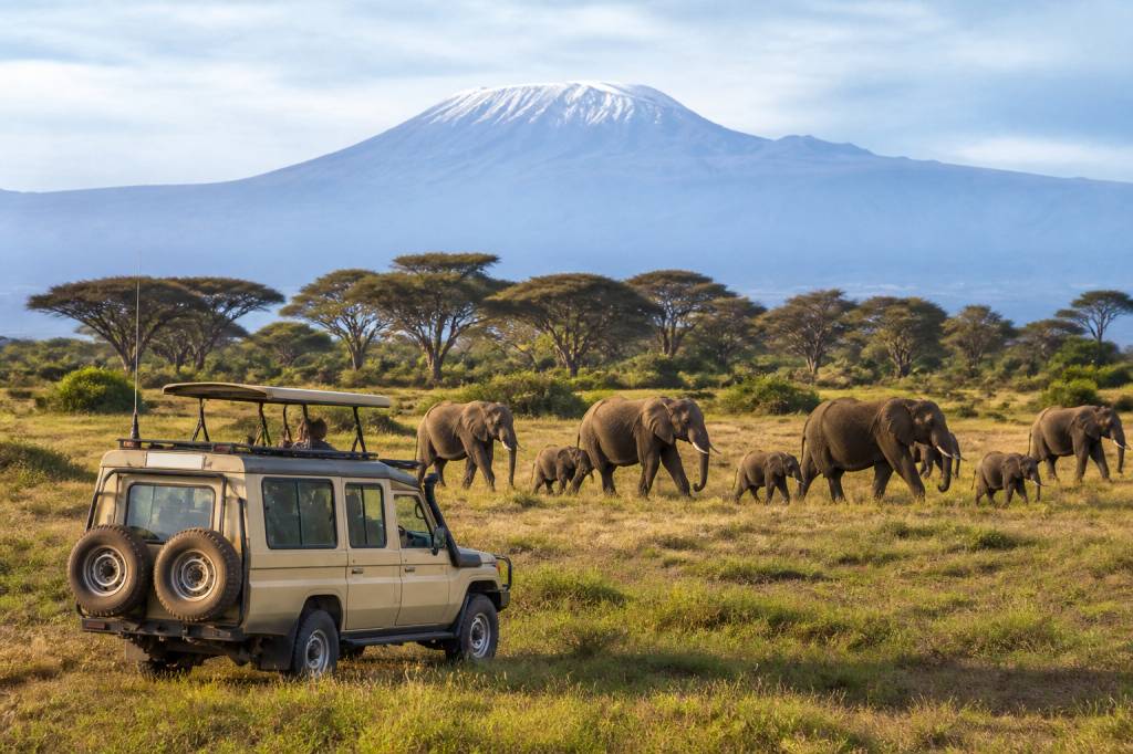 Safari in Tanzania: cosa vedere e quando partire