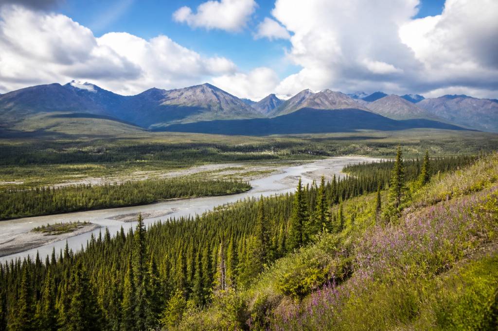 Alaska estate: itinerari, paesaggi e consigli per un viaggio indimenticabile