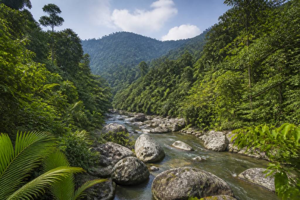 Borneo malese: cosa vedere tra natura, cultura e avventure indimenticabili